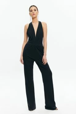 Solado Plunging Neck Backless Wide Leg Jumpsuit